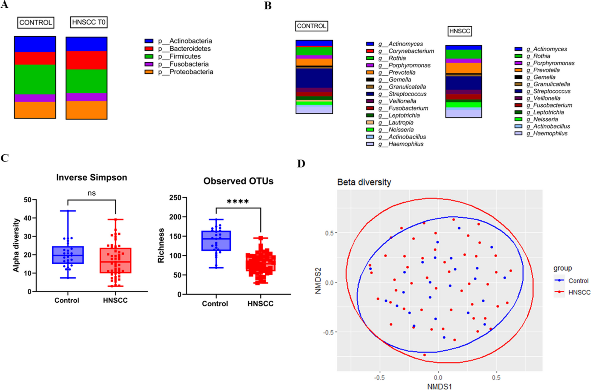 Assessing the oral microbiome of head and neck cancer patients before and during radiotherapy