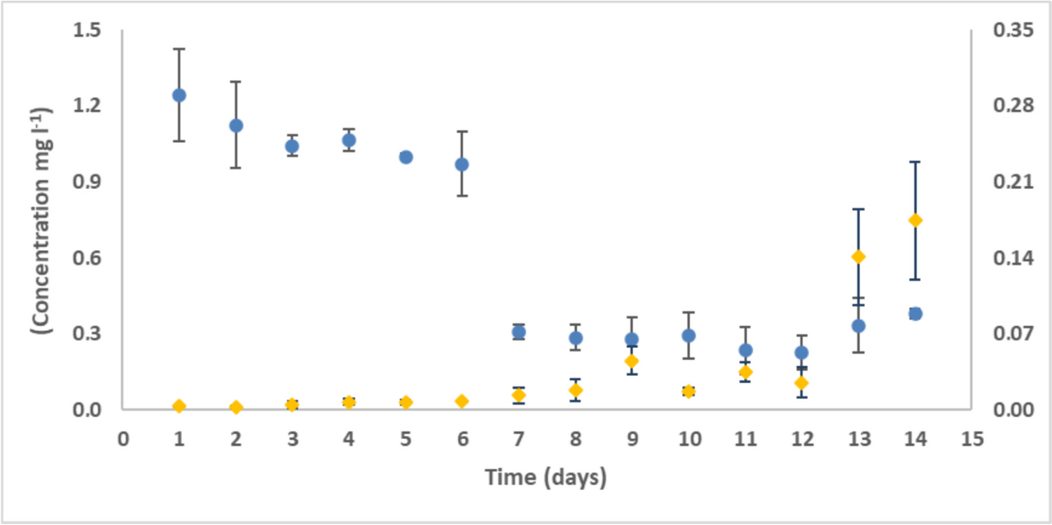 Biotransformation of diclofenac by Stenotrophomonas humi strain DIC_5 and toxicological examination of the resulting metabolites