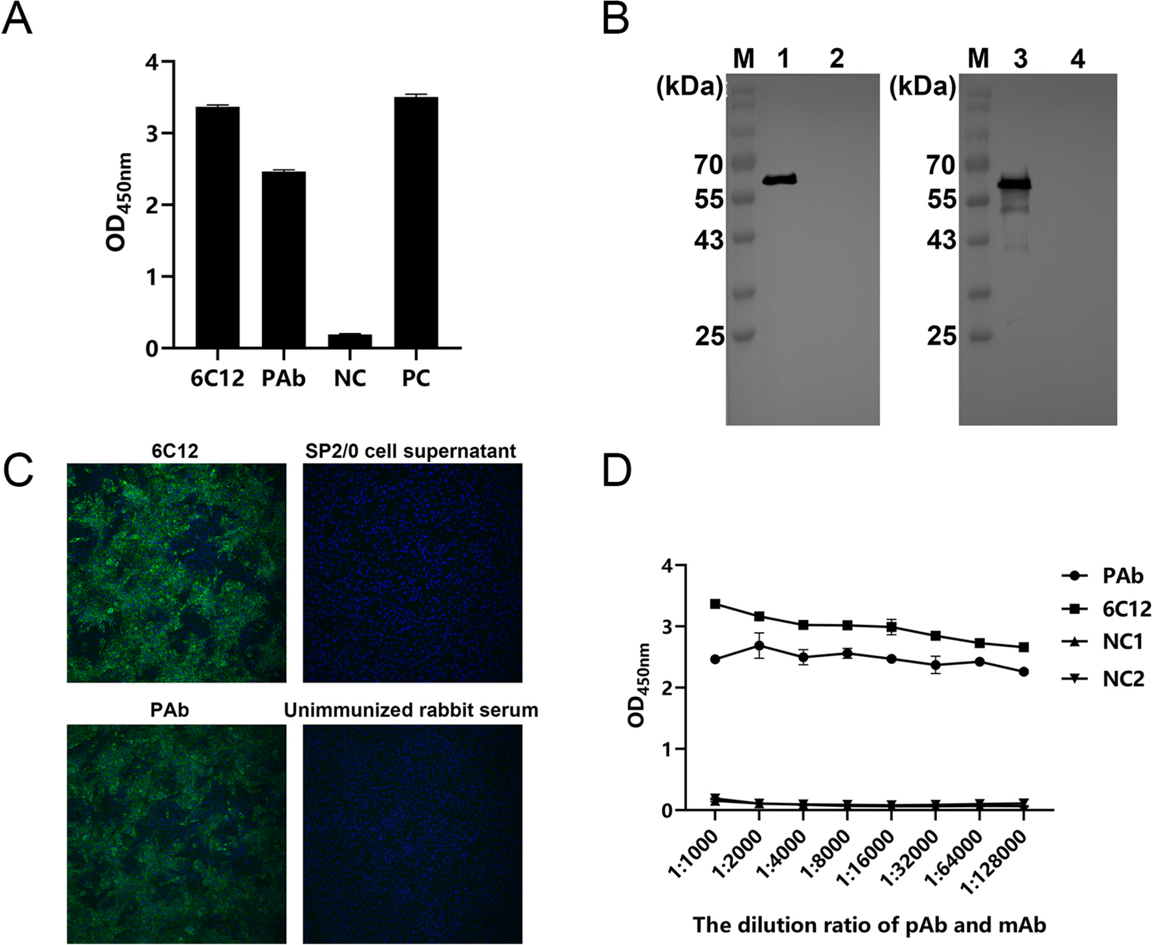 A novel double antibody sandwich quantitative ELISA for detecting porcine epidemic diarrhea virus infection