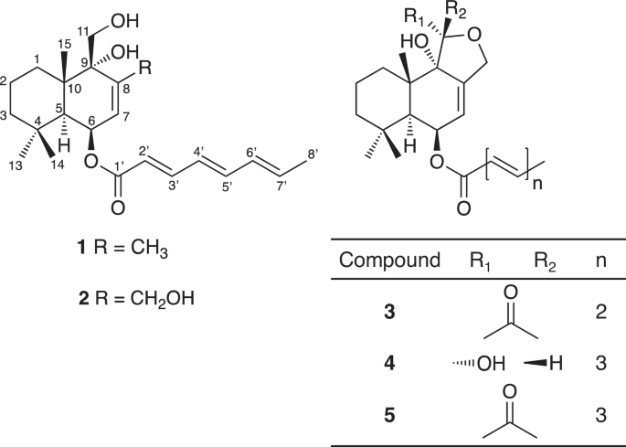 Drimane sesquiterpene esters produced by Aspergillus insuetus BF-1613 as inhibitors of sterol O-acyltransferase