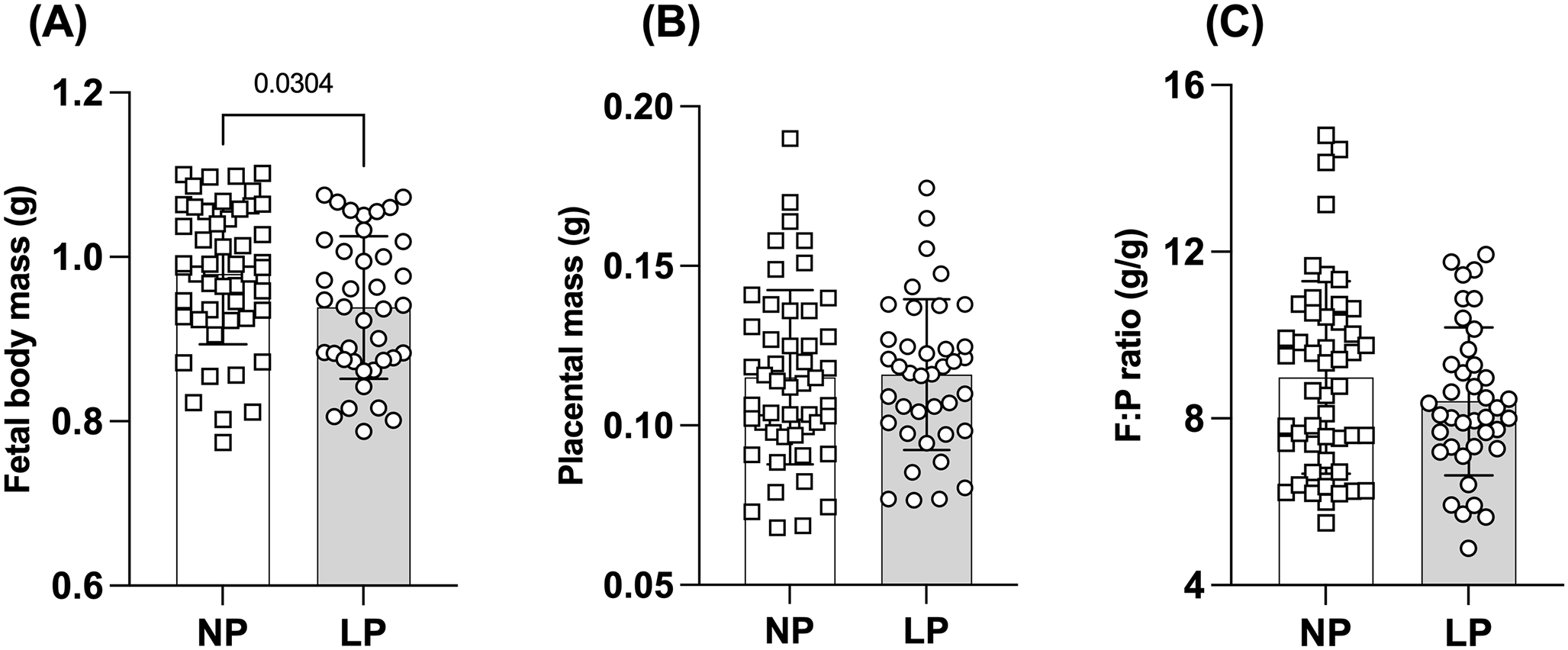 Mandible development under gestational protein restriction: cellular and molecular mechanisms