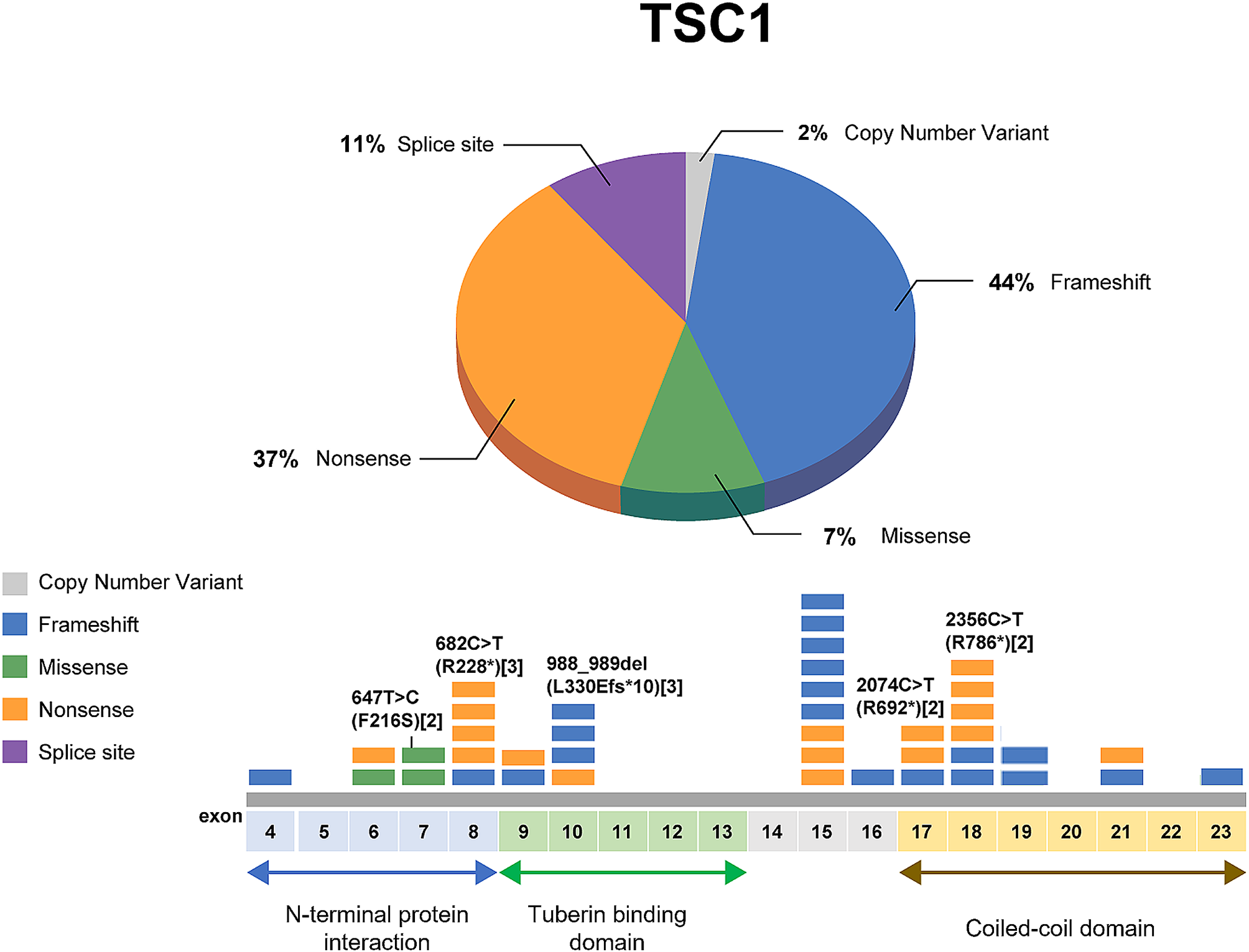 Genotypic and phenotypic analysis of Korean patients with tuberous sclerosis complex