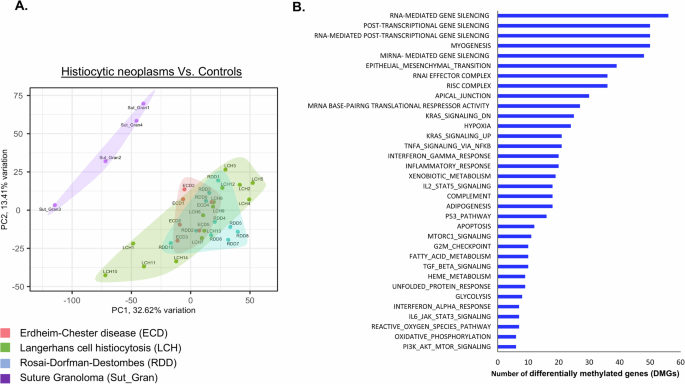 The effect of methylation on the let-7-BCL2L1-BCL2 axis and the potential use of hypomethylating and BH3 mimetic drugs in histiocytic neoplasms