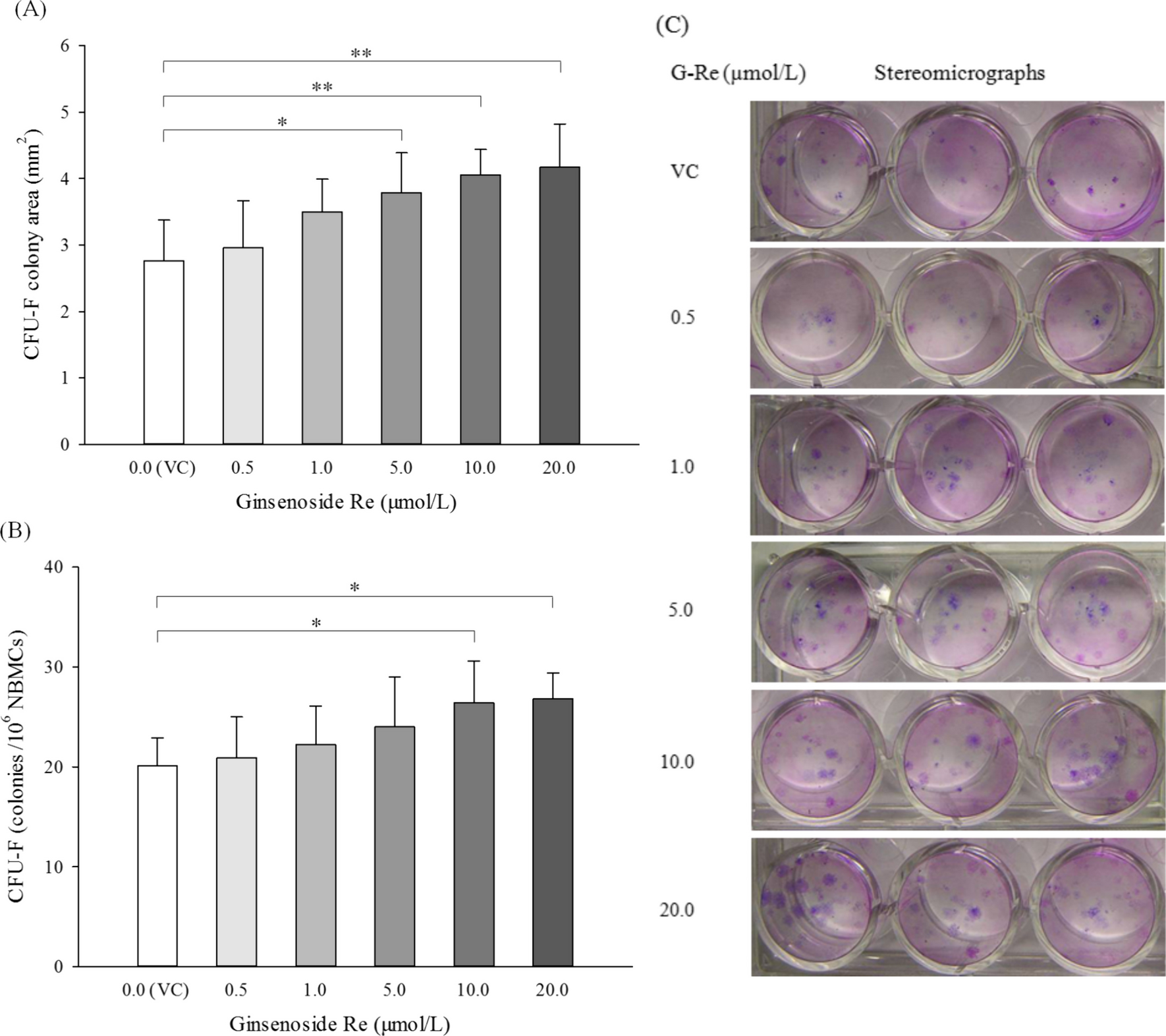 Ginsenoside Re promotes proliferation of murine bone marrow mesenchymal stem cells in vitro through estrogen-like action