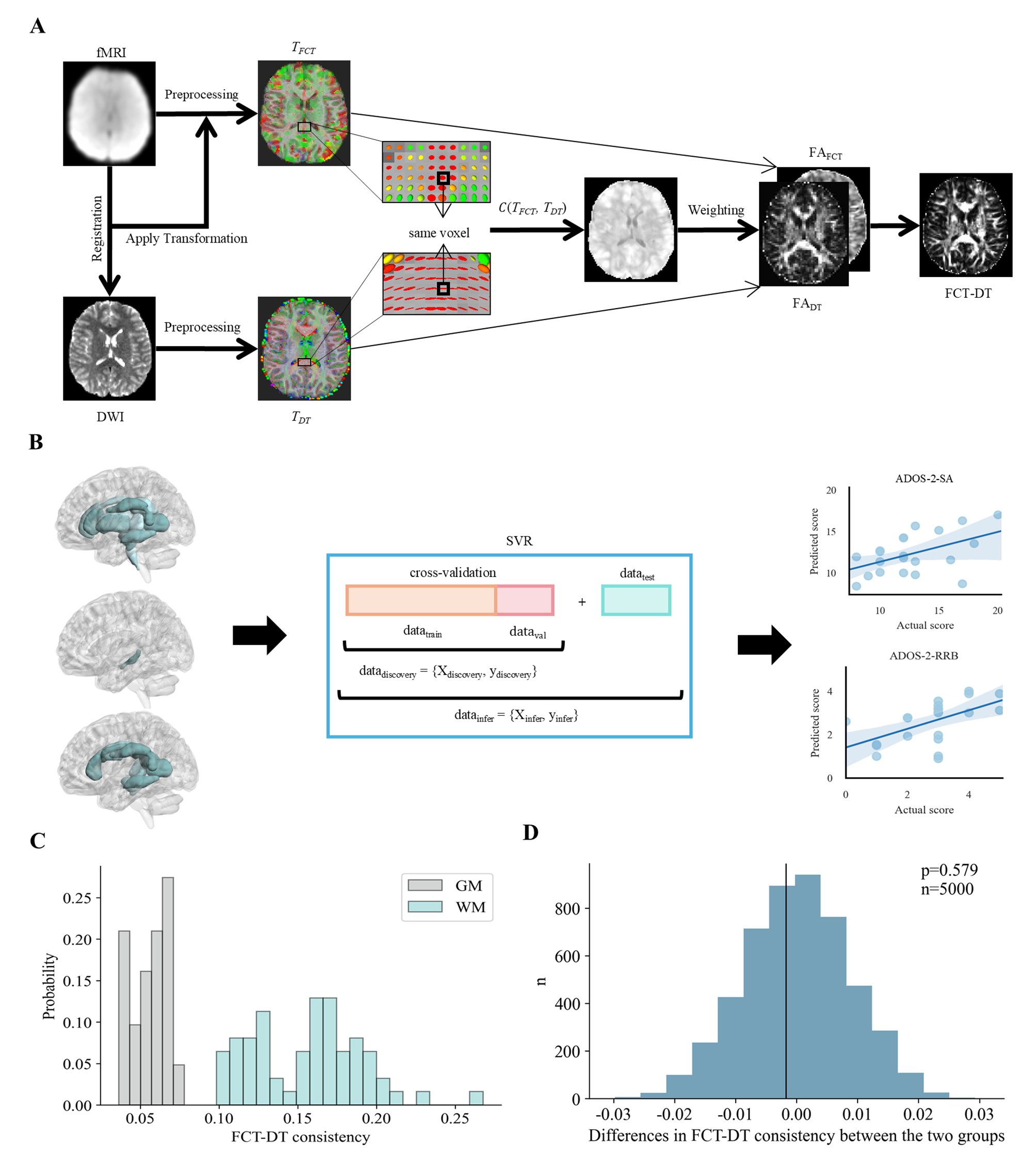 Structure-function coupling in white matter uncovers the hypoconnectivity in autism spectrum disorder