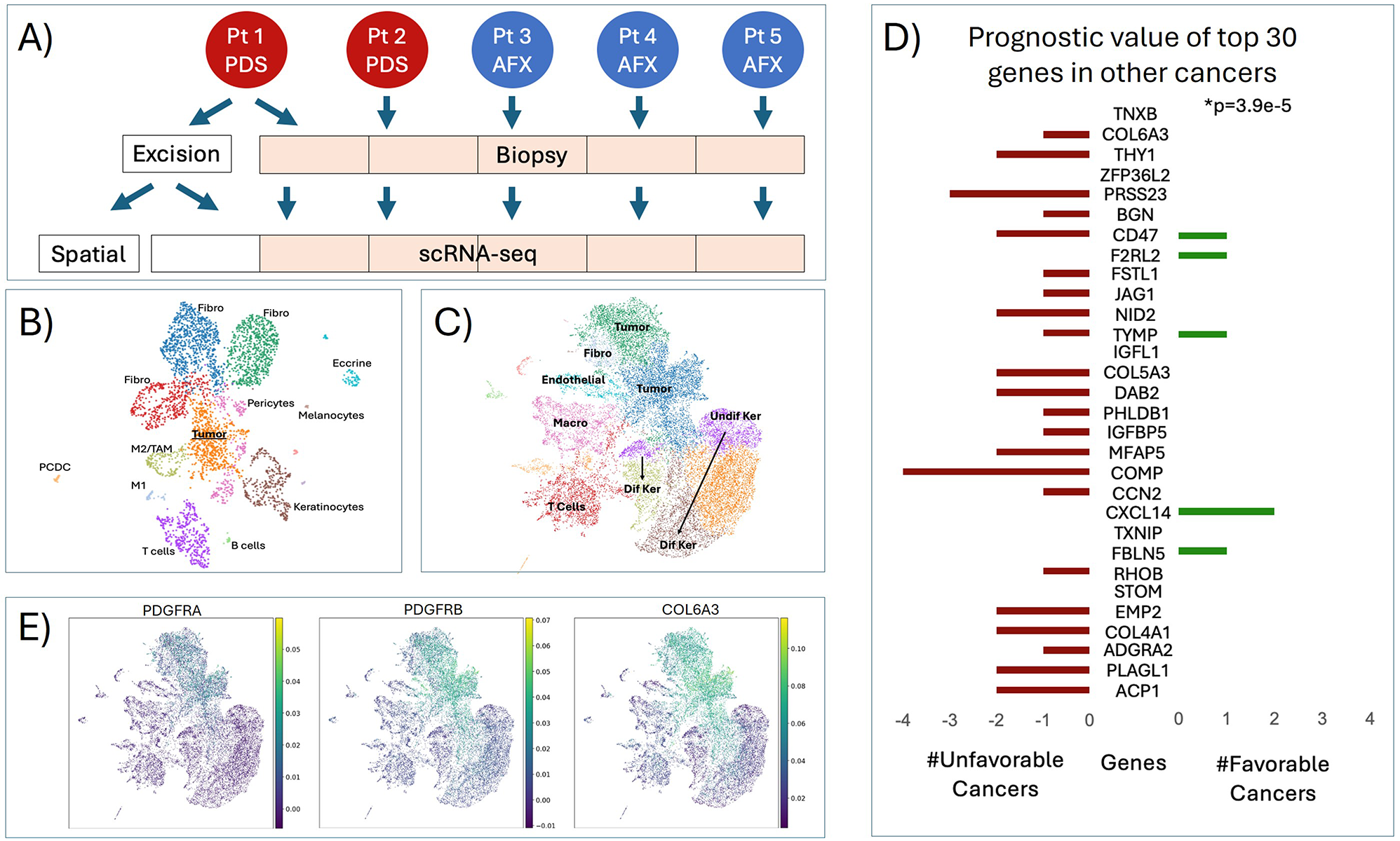 Single-cell and spatial transcriptomics identify COL6A3 as a prognostic biomarker in undifferentiated pleomorphic sarcoma