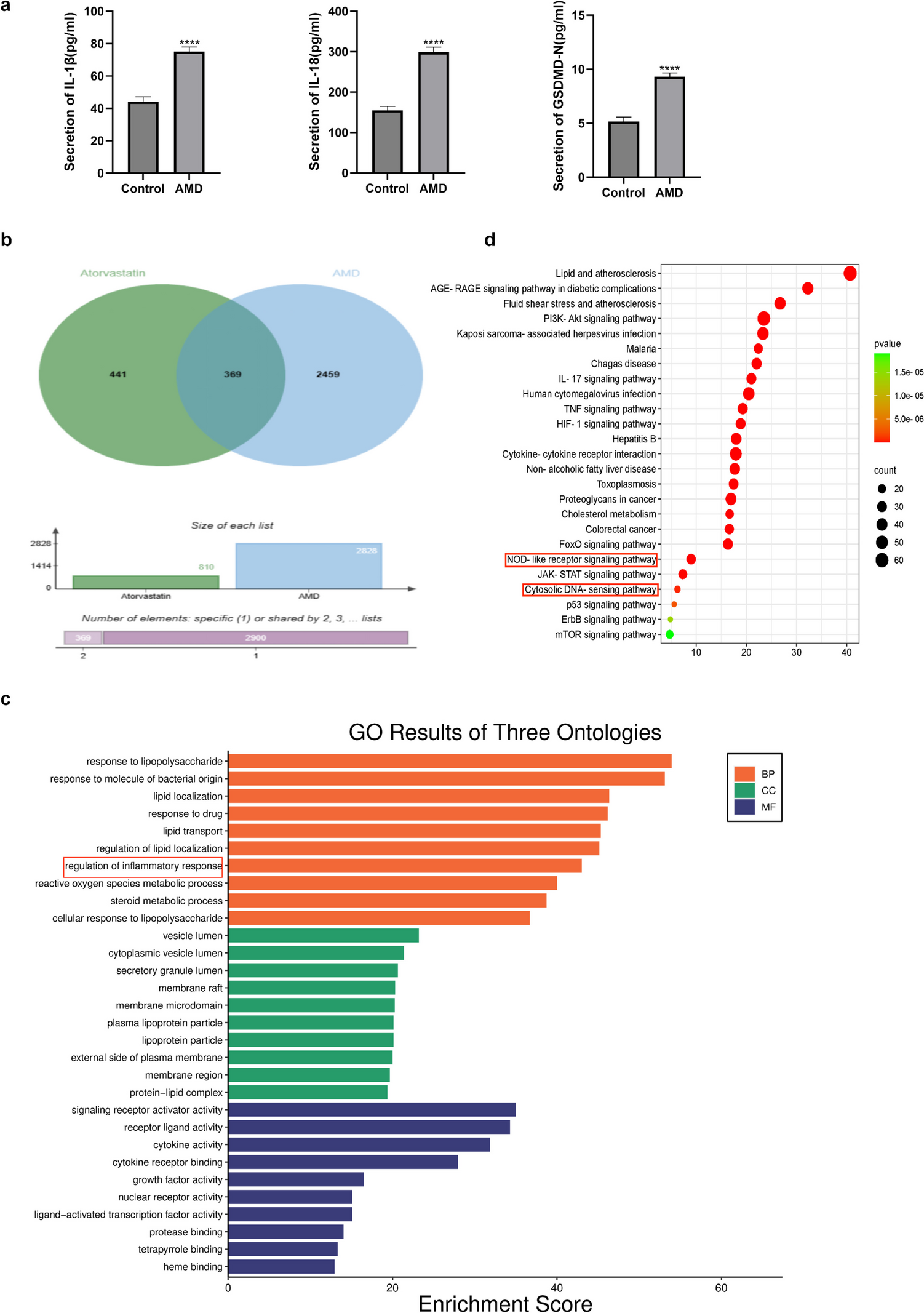 Atorvastatin Alleviates Age-Related Macular Degeneration via AIM2-Regulated Pyroptosis