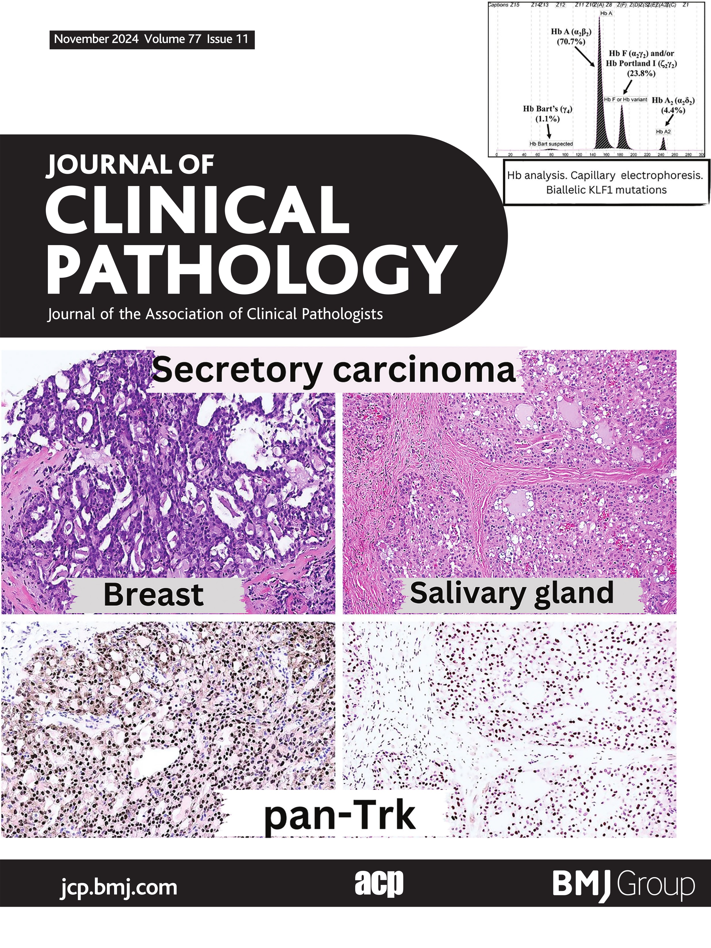 Streamlining pathology orders in a time-crunched medical world: much ado about requisitions