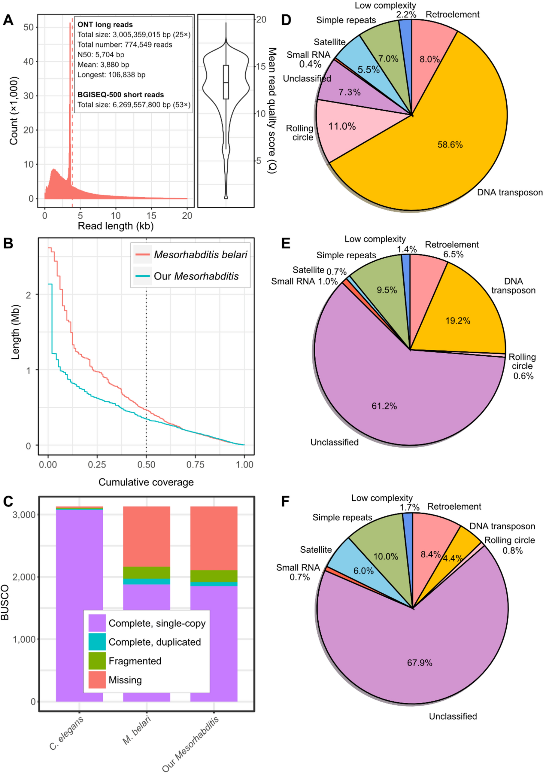 Units containing telomeric repeats are prevalent in subtelomeric regions of a Mesorhabditis isolate collected from the Republic of Korea