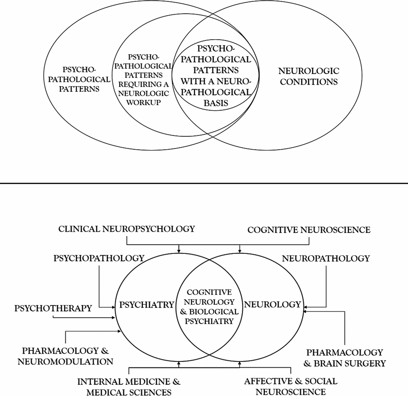 Neuropsychiatric Constructs as Bridges Between Psychopathology and Neuropathology: A Medical Perspective