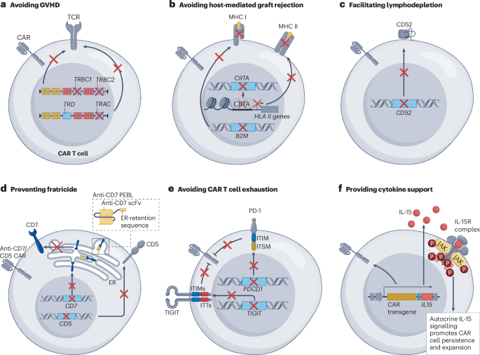 Allogeneic chimeric antigen receptor cell therapies for cancer: progress made and remaining roadblocks