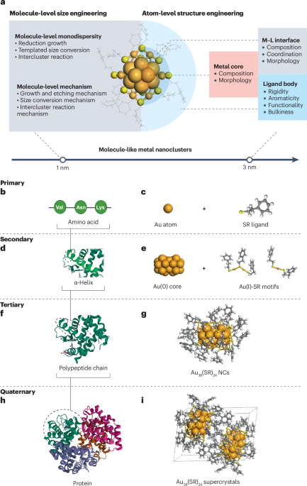 Molecule-like synthesis of ligand-protected metal nanoclusters