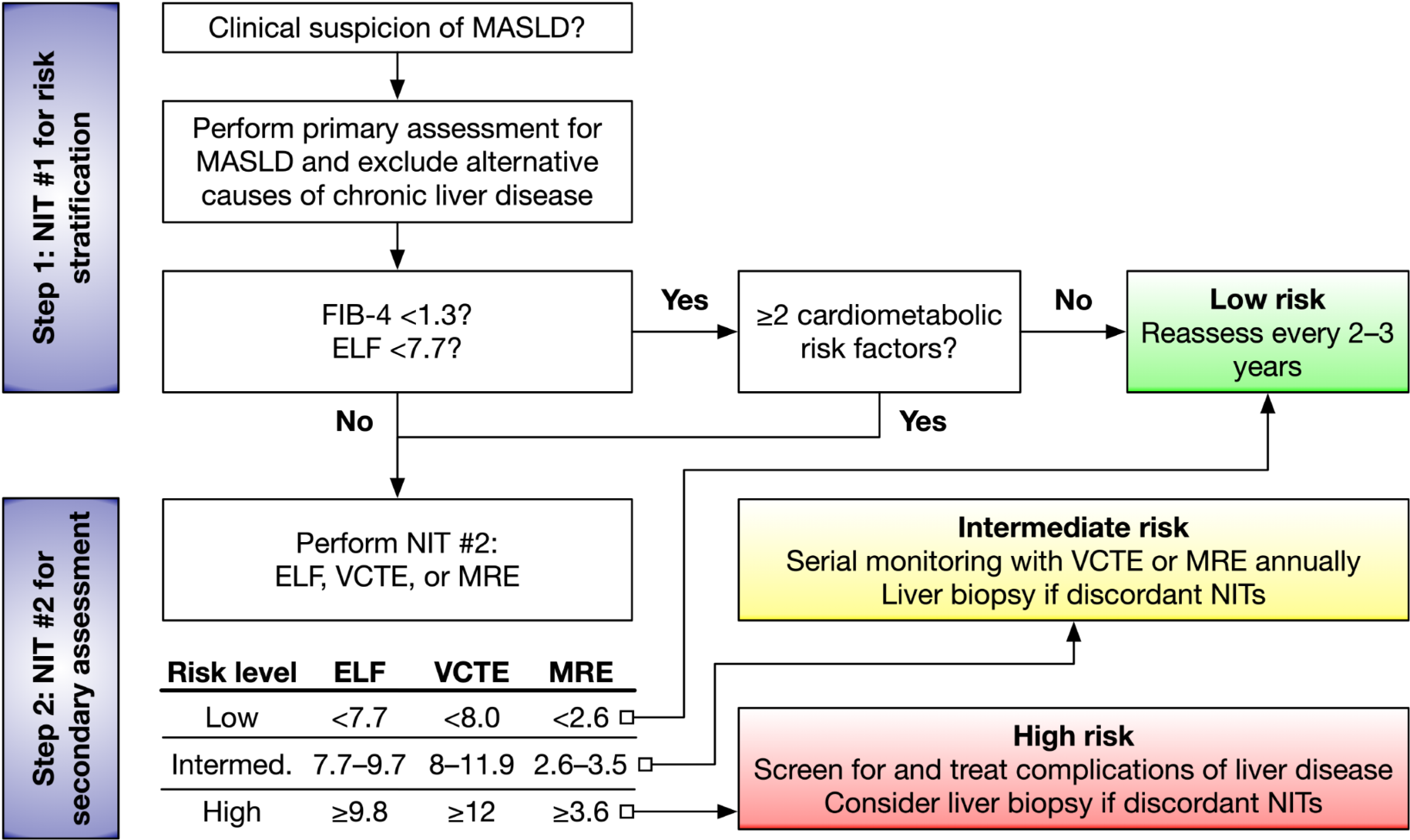 NAFLD No More: A Review of Current Guidelines in the Diagnosis and Evaluation of Metabolic Dysfunction-Associated Steatotic Liver Disease (MASLD)