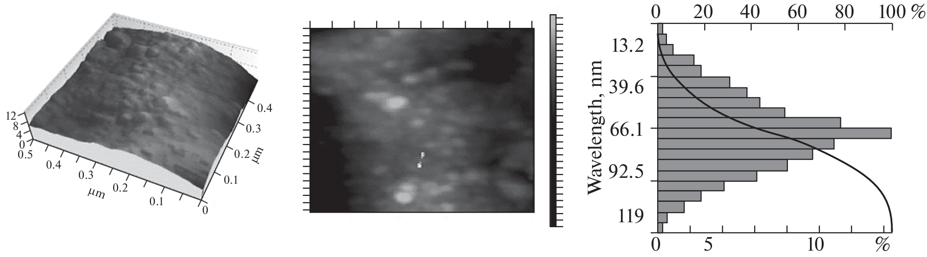 Synthesis and Antimicrobial Properties of Chitosan Nanoascorbate of Bombyx mori