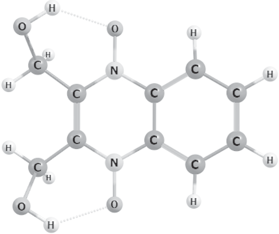 Interaction of Copper Clusters with Dioxidine