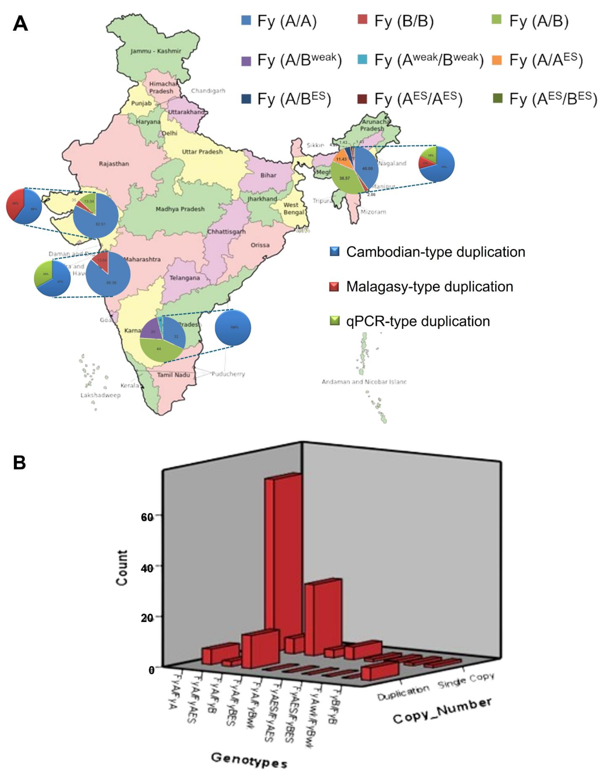 Duffy Binding Protein Ligand (PvDBP) gene duplication in Indian P. Vivax Malaria isolates: implication for malaria research