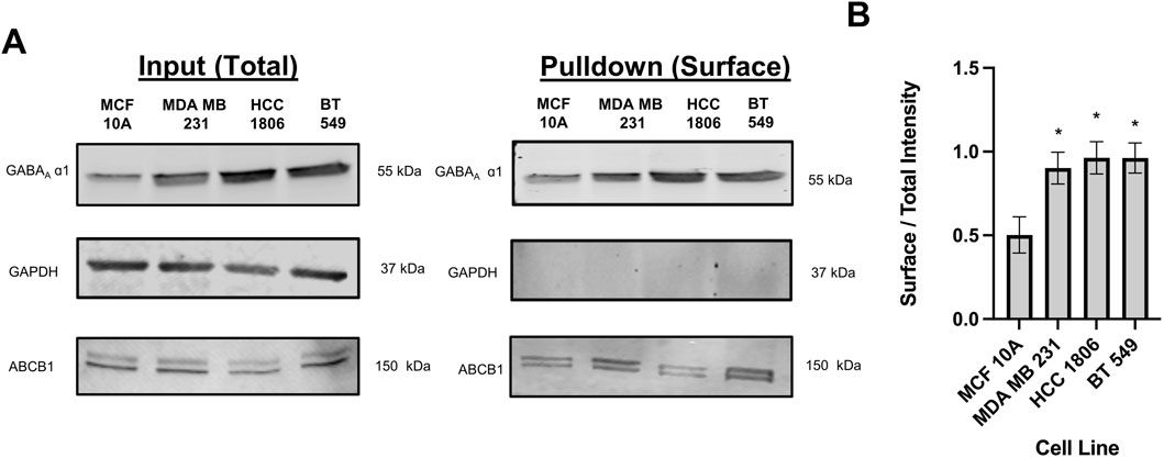 GABA Type A receptors expressed in triple negative breast cancer cells mediate chloride ion flux