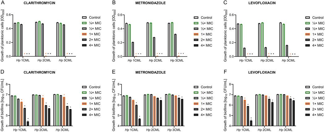 Subinhibitory concentrations of antibiotics affect development and parameters of Helicobacter pylori biofilm