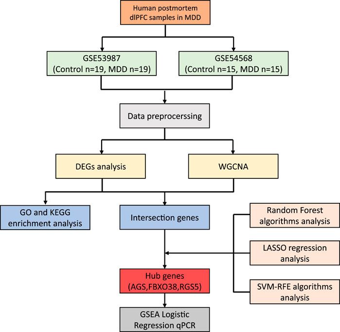 Identification and experimental validation of hub genes underlying depressive-like behaviors induced by chronic social defeat stress