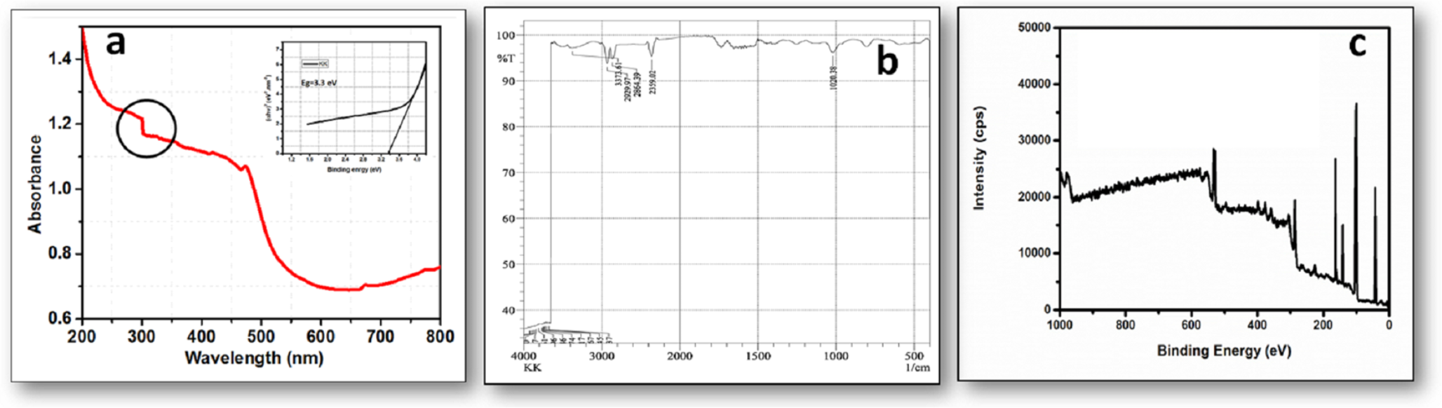 Chemical, elemental, morphological and toxicological characteristics of traditional Indian Siddha formulation: Kasthuri Karuppu