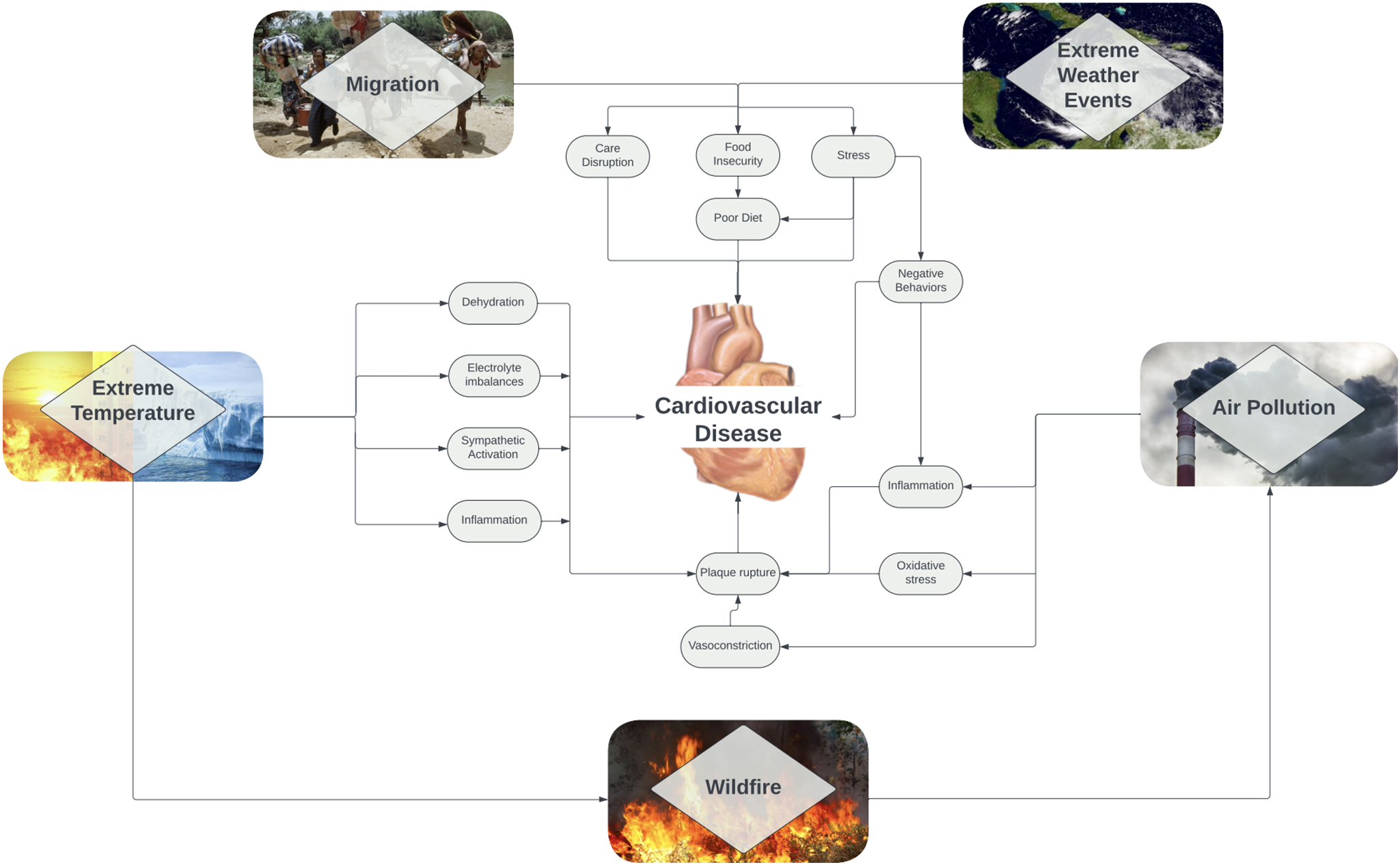 Impact of Climate Change on Cardiovascular Health