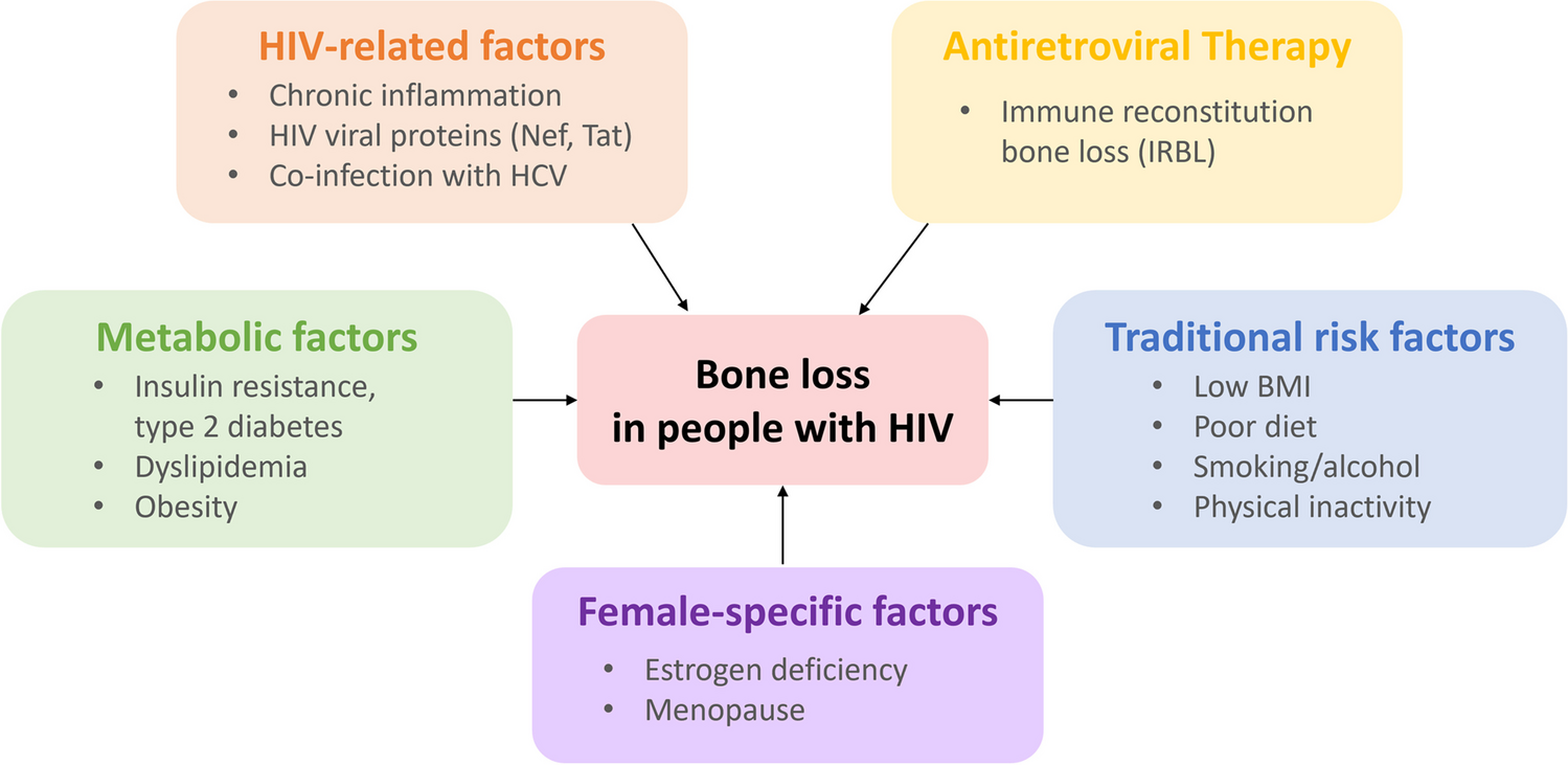 Sex Differences in Metabolic Disorders of Aging and Obesity in People with HIV