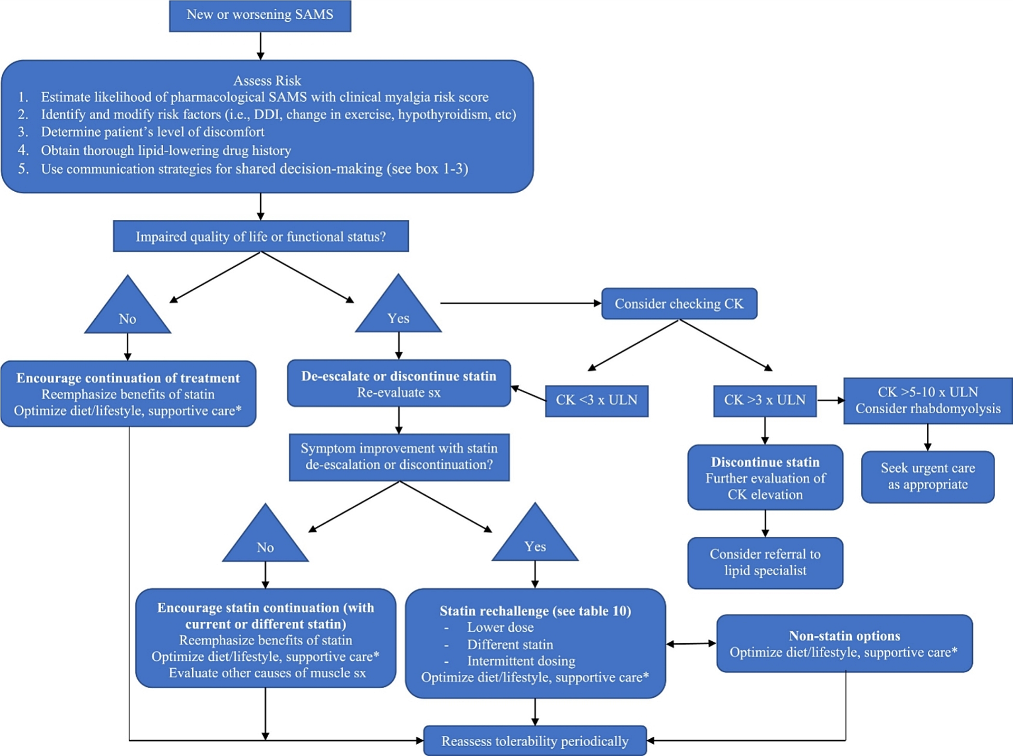 Statin-Associated Muscle Symptoms: Identification and Recommendations for Management