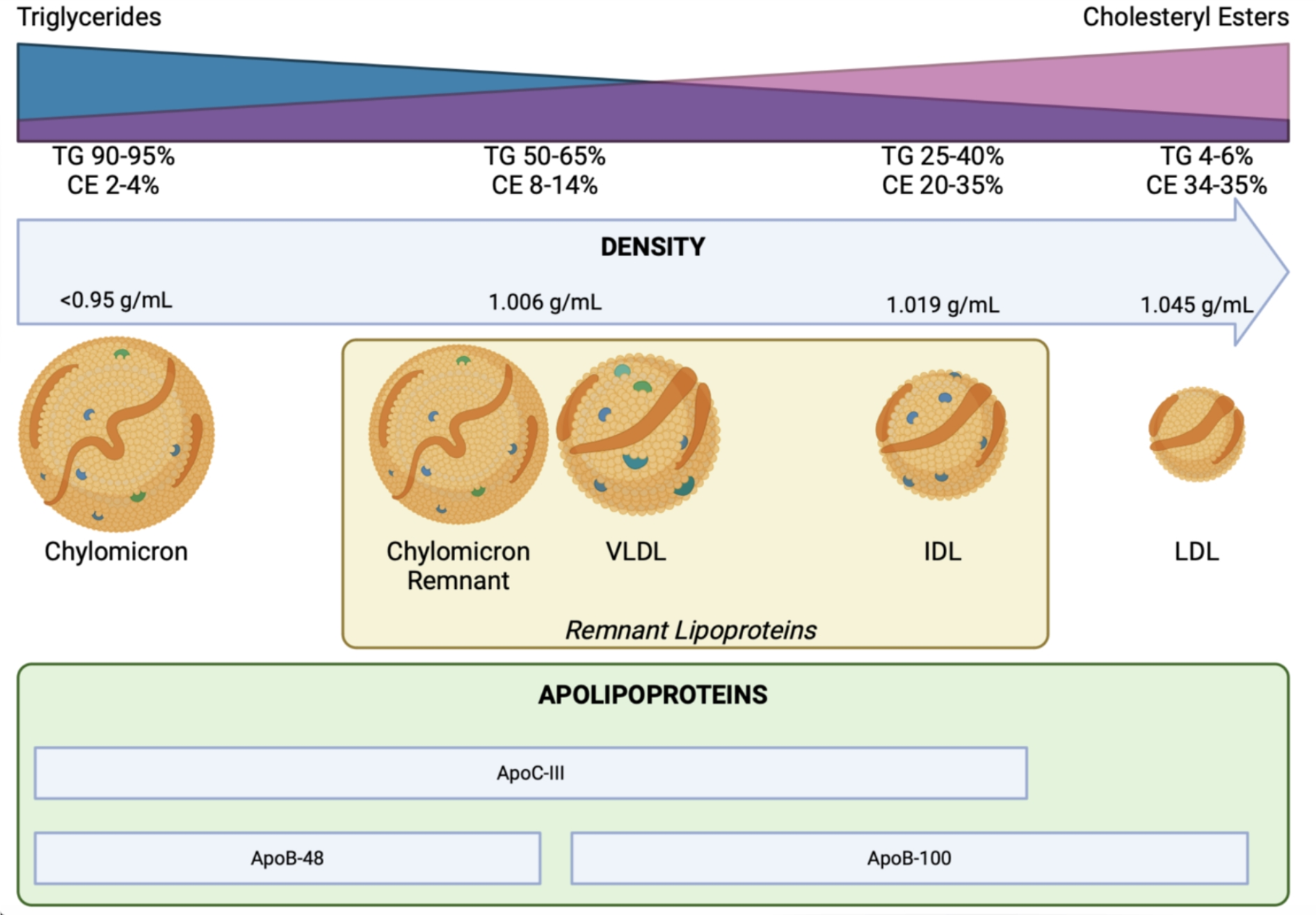 The Emerging Potential of Apolipoprotein C-III Inhibition for ASCVD Prevention: A State-of-the-Art Review