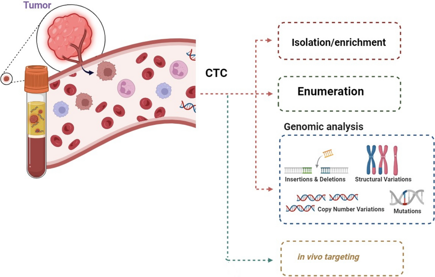 Current biological implications and clinical relevance of metastatic circulating tumor cells