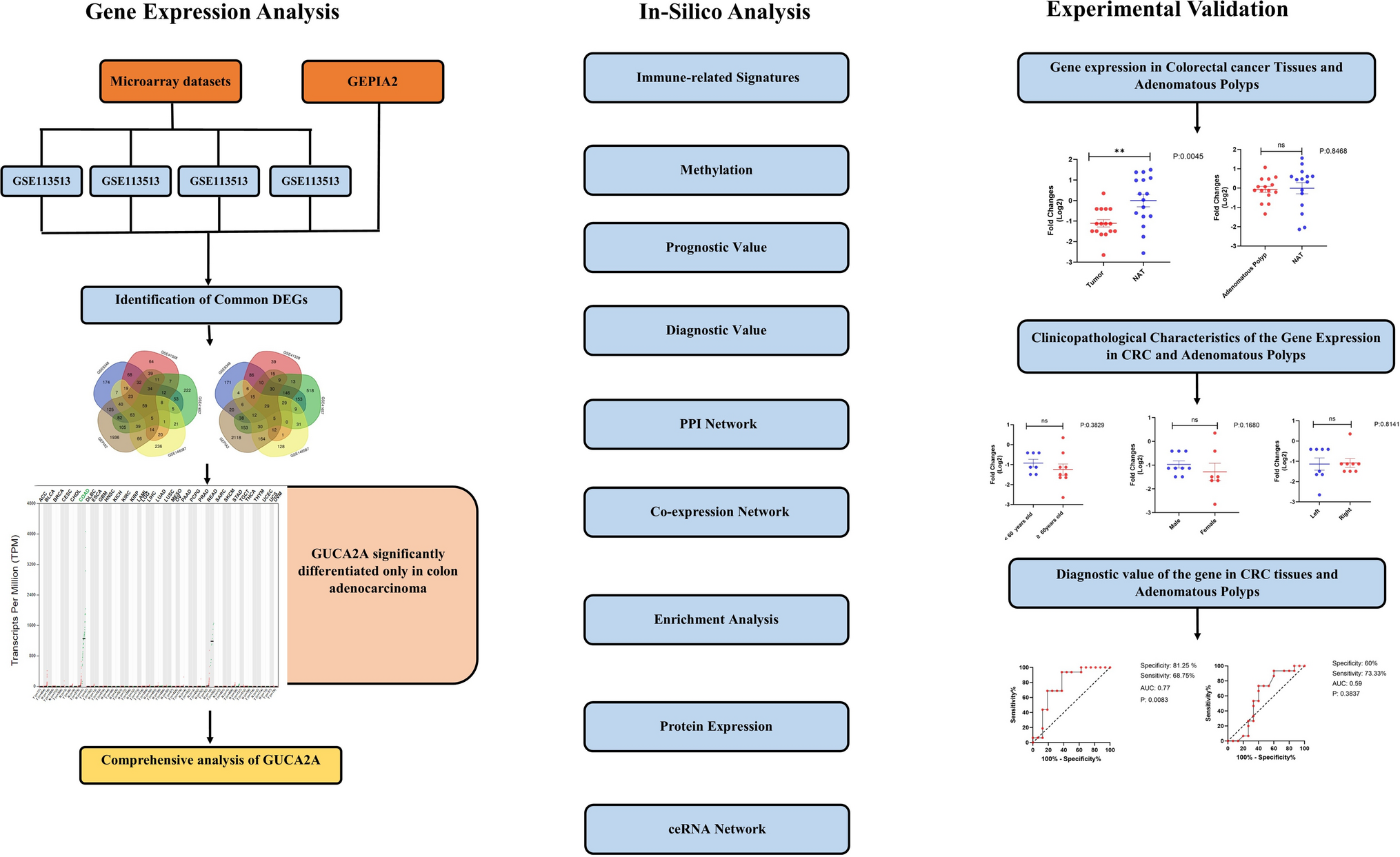 GUCA2A dysregulation as a promising biomarker for accurate diagnosis and prognosis of colorectal cancer