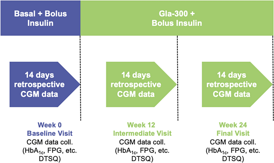 Safety and Effectiveness of Glargine 300 U/ml After Switching from Basal Insulins in Patients with Type 1 Diabetes: COMET-T Study