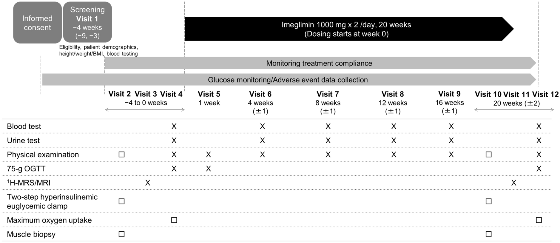 Rationale and Design of the Study to Investigate the Metabolic Action of Imeglimin on Patients with Type 2 Diabetes Mellitus (SISIMAI)