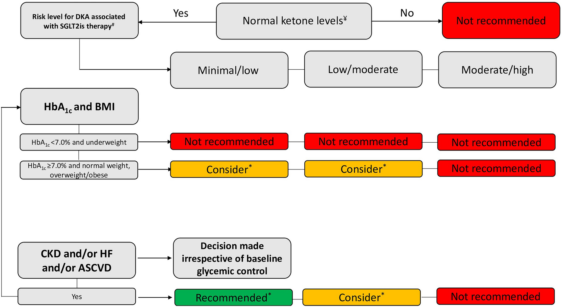 Sodium-Glucose Co-transporter-2 Inhibitors in Type 1 Diabetes Mellitus: The Framework for Recommendations for Their Potential Use