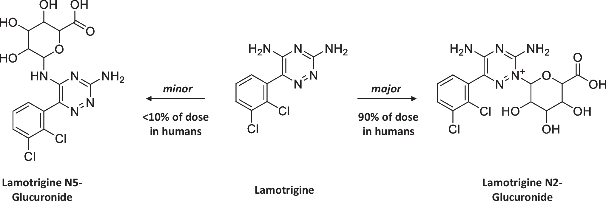 UGT2B10 is the Major UDP-Glucuronosyltransferase 2B Isoform Involved in the Metabolism of Lamotrigine and is Implicated in the Drug-Drug Interaction with Valproic Acid