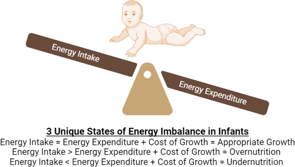 Early Life Energy Balance: The Development of Infant Energy Expenditure and Intake in the Context of Obesity