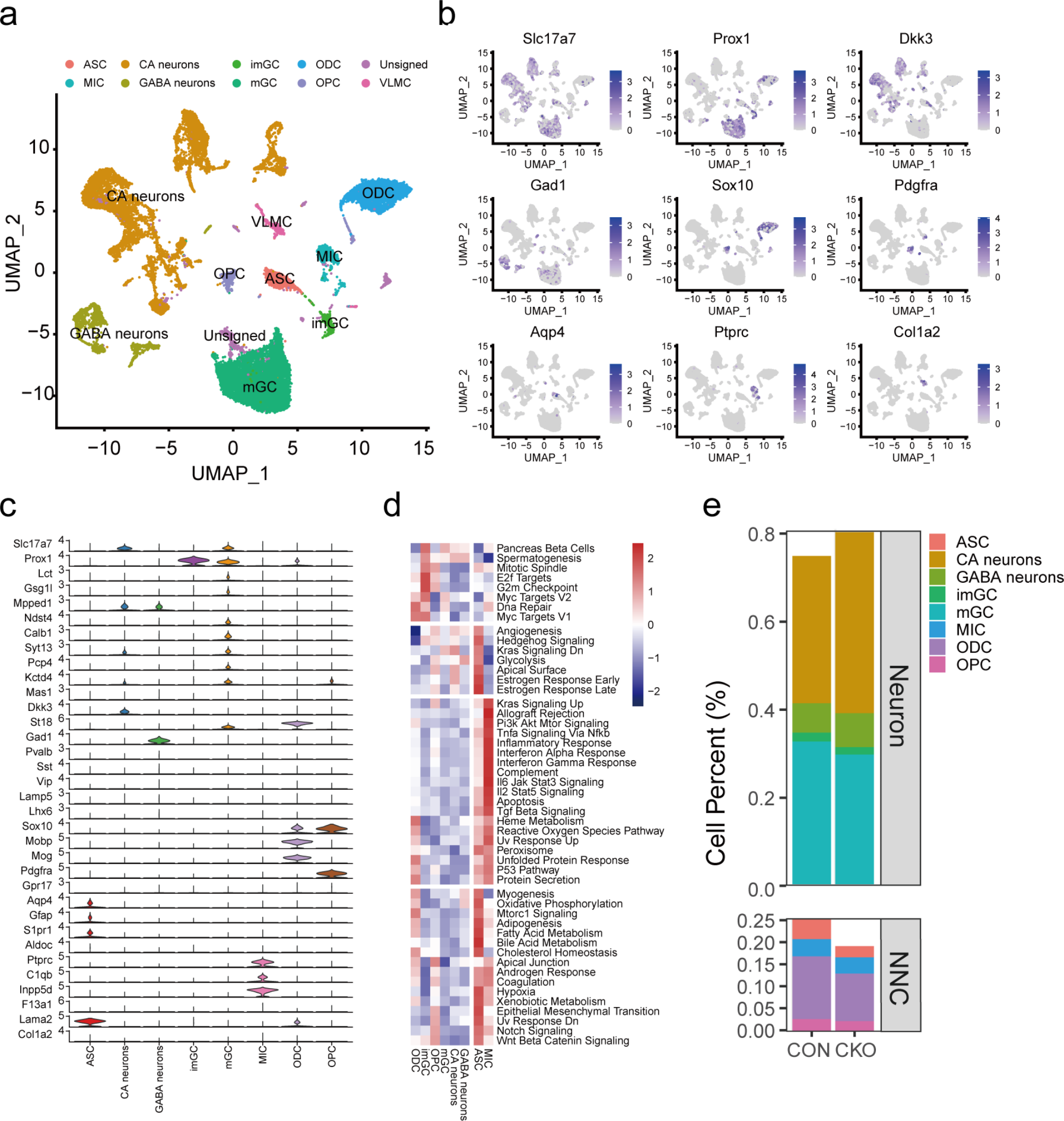 The X-linked intellectual disability gene CUL4B is critical for memory and synaptic function