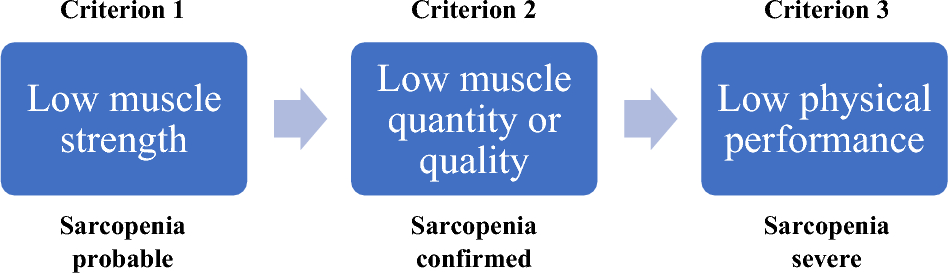 Pharmacological Treatment of Obesity in Older Adults