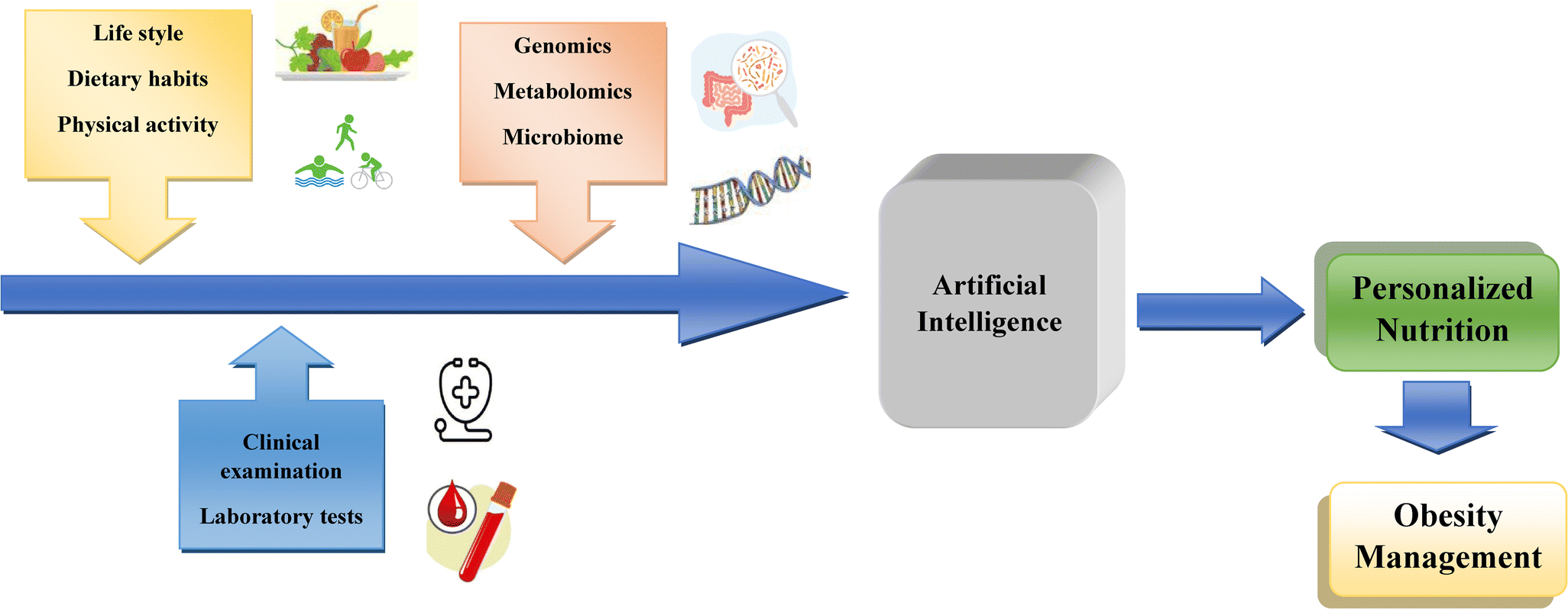 Multidimensional perspective of obesity; prevention to treatment