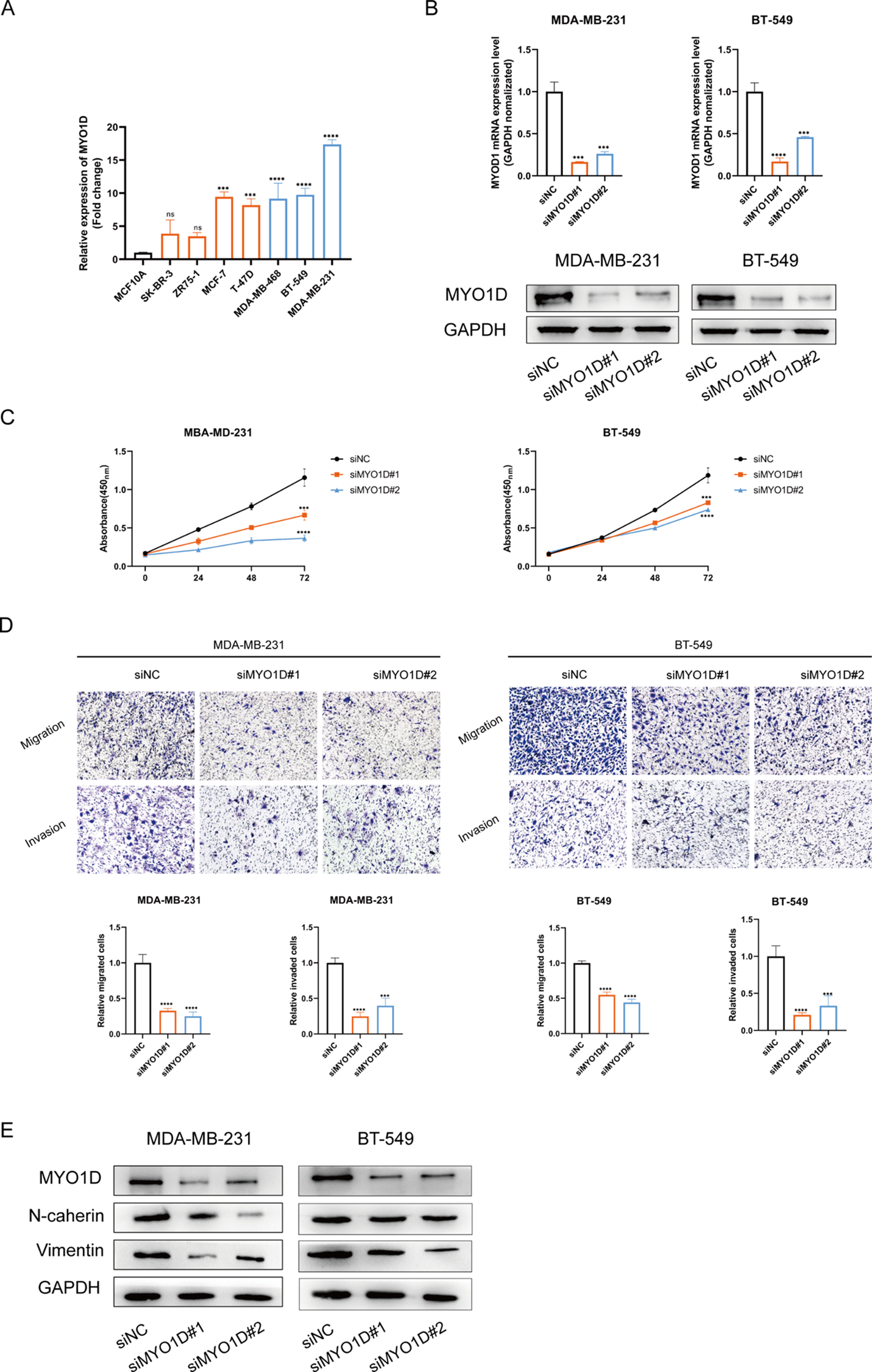 Correction: Identification and validation of neutrophils-related subtypes and prognosis model in triple negative breast cancer