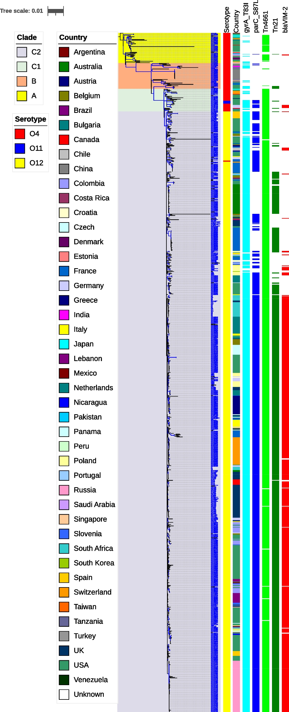 Genomic Epidemiology of Pseudomonas aeruginosa Sequence Type 111