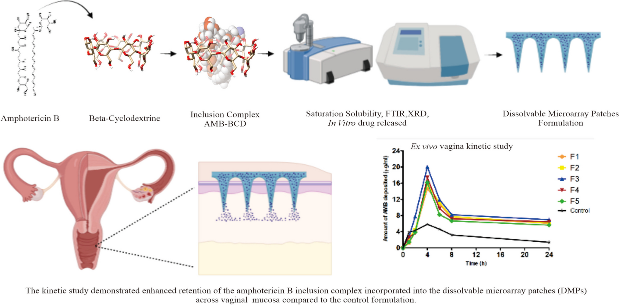 Development of amphotericin B inclusion complex formulation in dissolvable microarray patches for intravaginal delivery