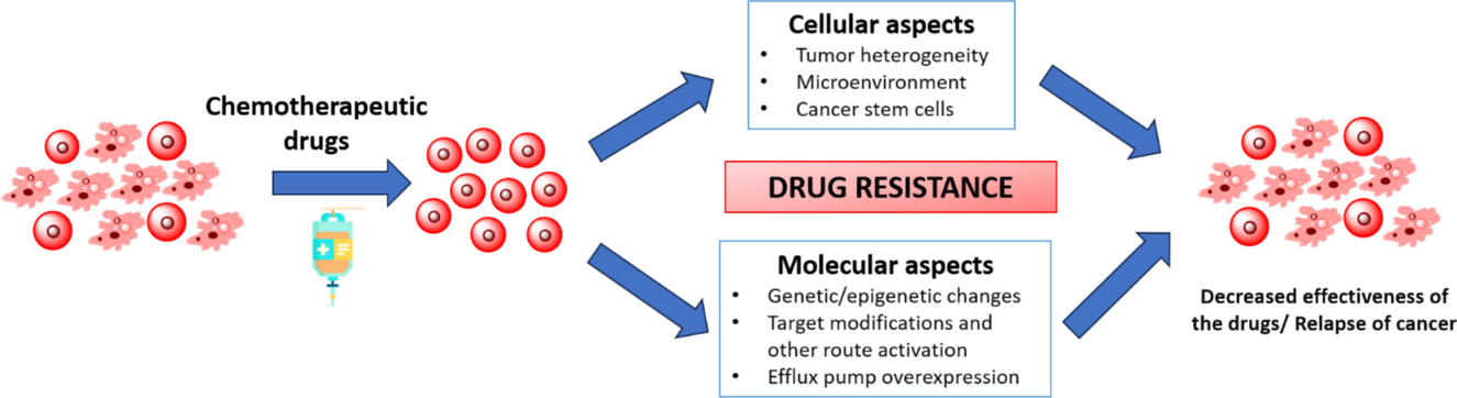 Cellular and molecular aspects of drug resistance in cancers