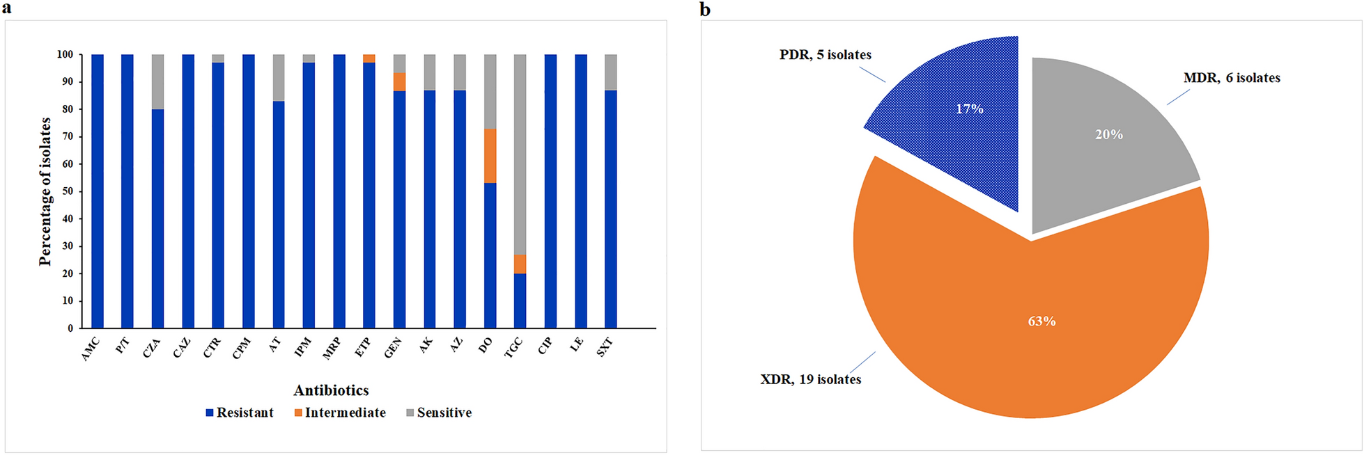 Efficacy of colistin-based combinations against pandrug-resistant whole-genome-sequenced Klebsiella pneumoniae isolated from hospitalized patients in Egypt: an in vitro/vivo comparative study