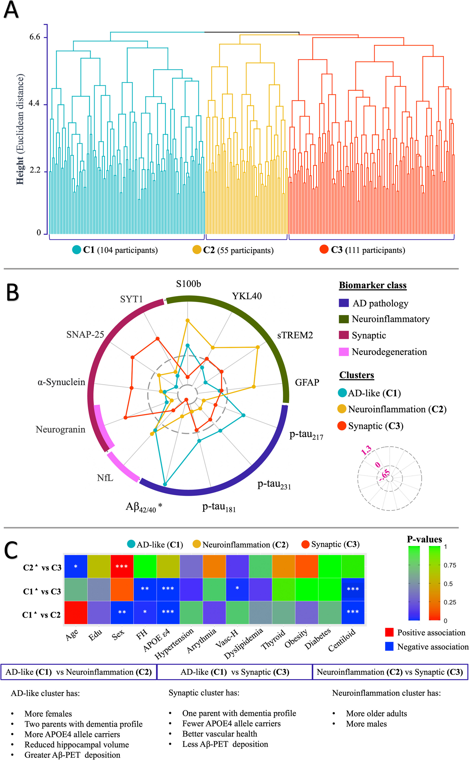 Data-driven CSF biomarker profiling: imaging and clinical outcomes in a cohort at risk of Alzheimer’s disease