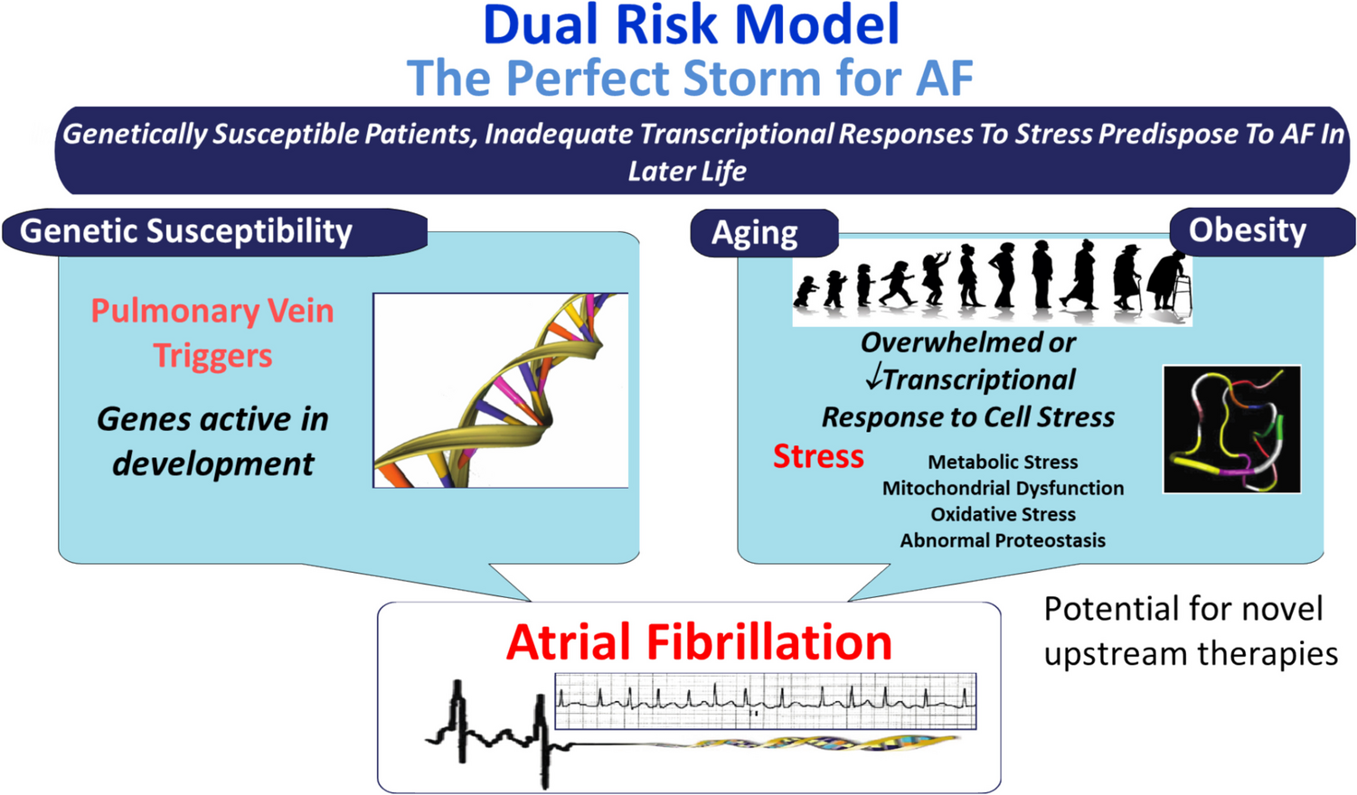 Upstream targeting for the prevention of atrial fibrillation: Targeting Risk Interventions and Metformin for Atrial Fibrillation (TRIM-AF)—rationale and study design