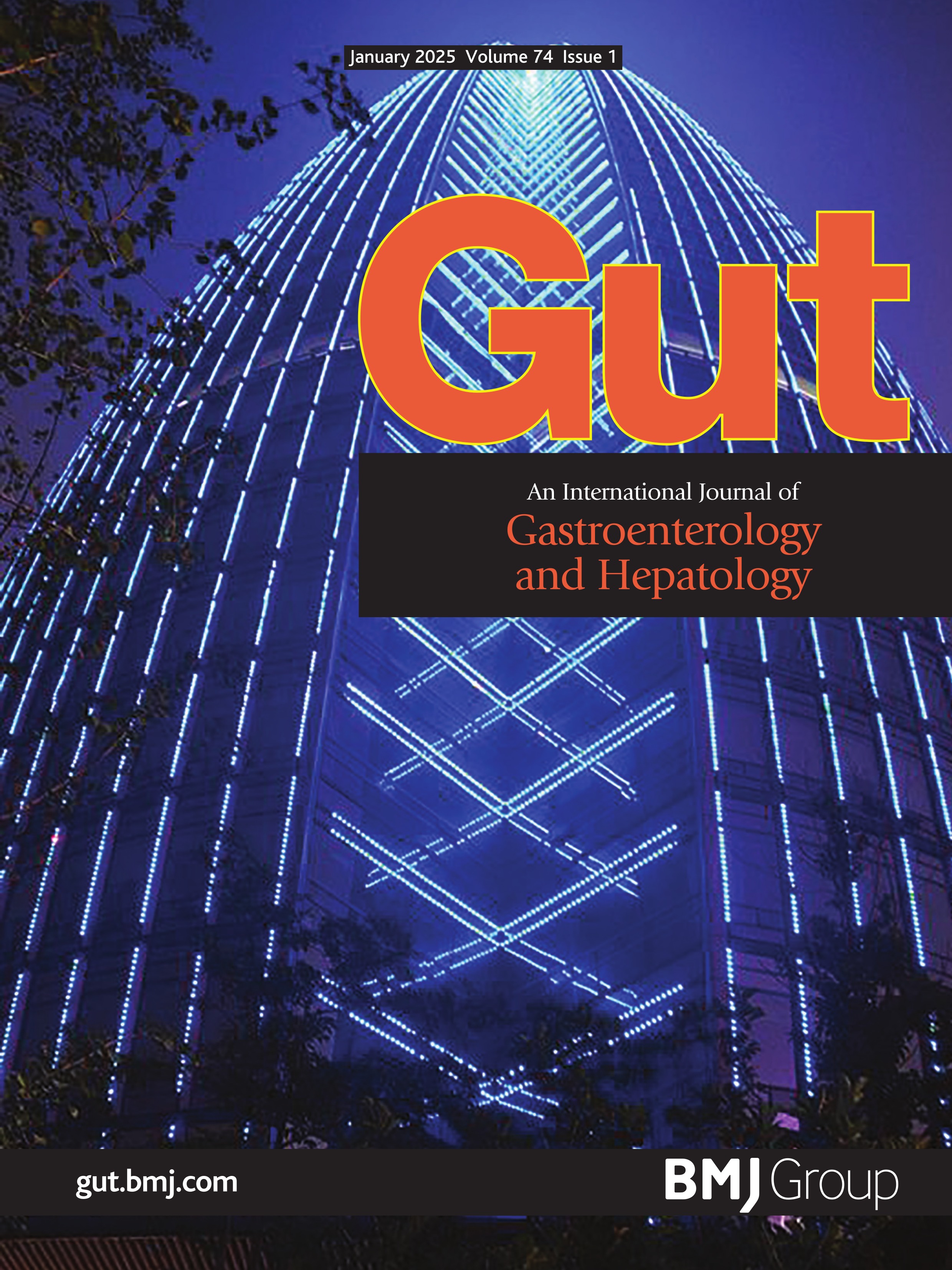 Evolution of the use, effectiveness and safety of bismuth-containing quadruple therapy for Helicobacter pylori infection between 2013 and 2021: results from the European registry on H. pylori management (Hp-EuReg)