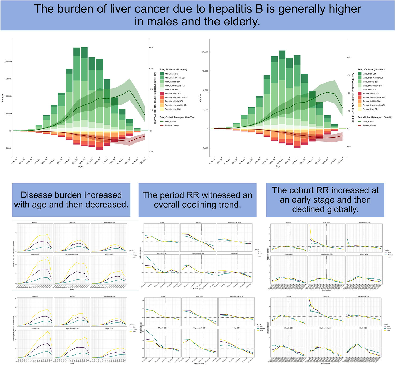 Global, regional, and national temporal trends in incidence and mortality for liver cancer due to hepatitis B, 1990–2021: a decomposition and age-period-cohort analysis for the Global Burden of Disease Study 2021