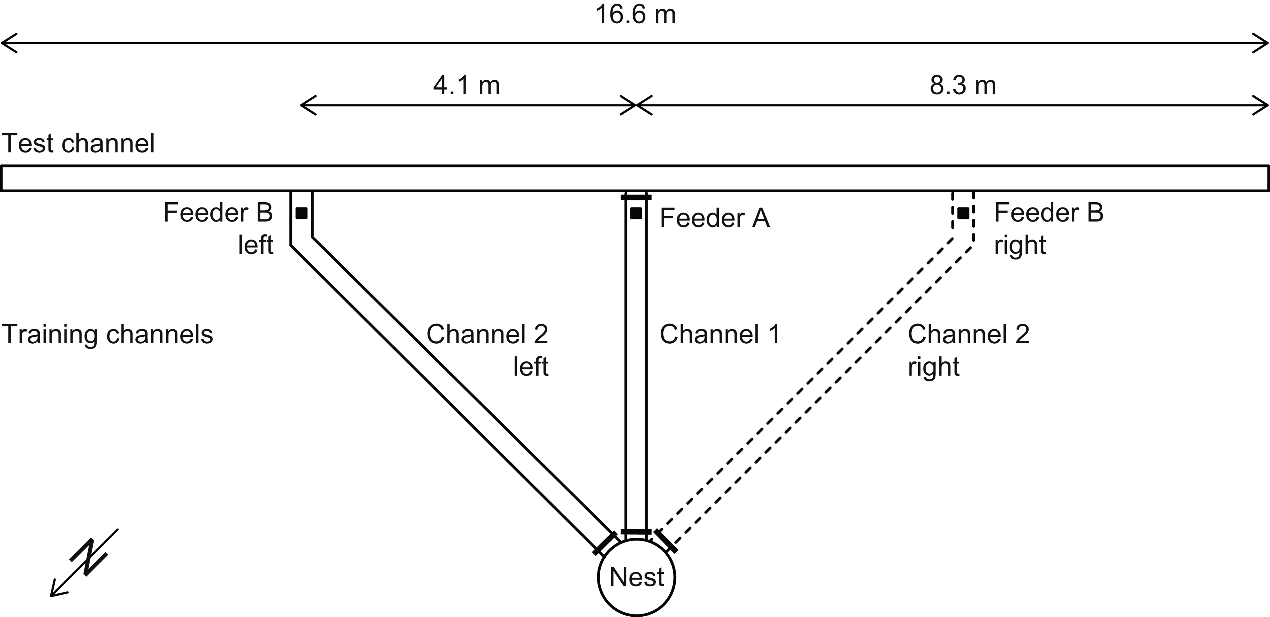 Vector-based navigation in desert ants: the significance of path-integration vectors