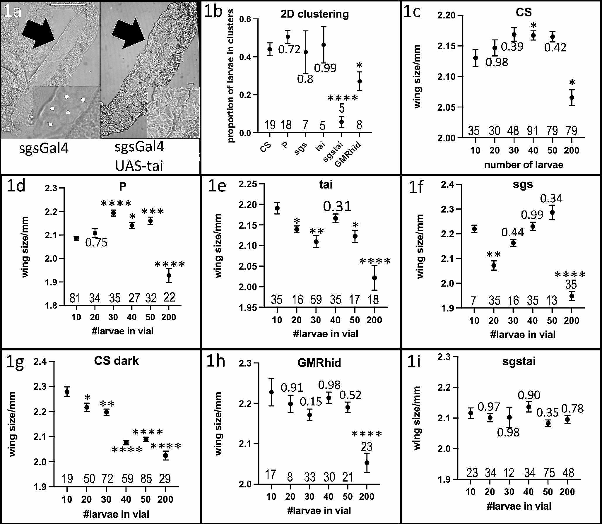 Population parameters of Drosophila larval cooperative foraging