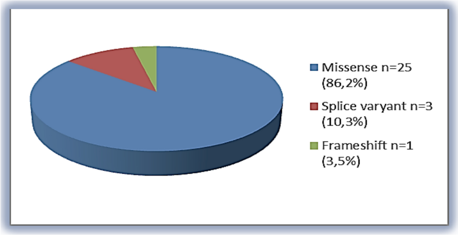 The relationship between serum phenylalanine levels, genotype, and developmental assessment test results in non-phenylketonuria mild hyperphenylalaninemia patients